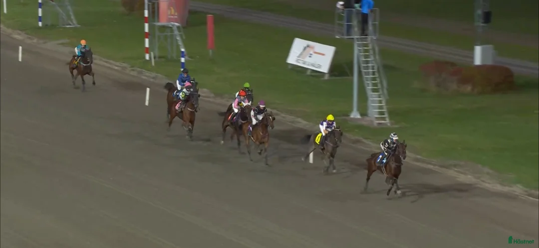Trav hästar till salu: Fin 4 åring  - Annons 1