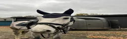 Hoppning hästar till salu: Lovande unghäst - Annons 1