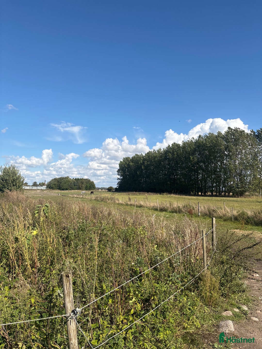  stallplats finnes: Stallplats finns i Glumslöv - Annons 4