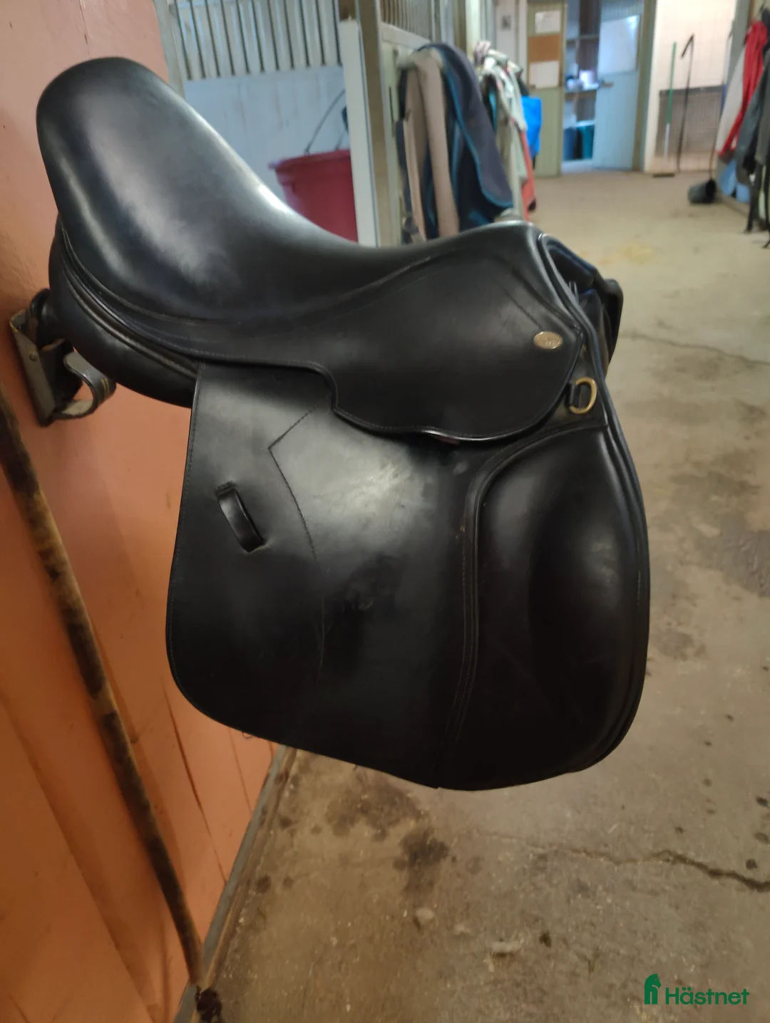 Sadlar hästutrustning till salu: Fin Globus clic i Östersund - Annons 3