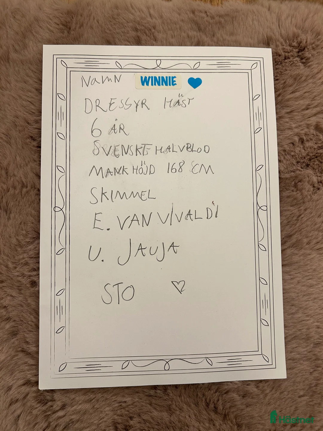 Övrig utrustning övrig utrustning till salu: Käpphäst i Krylbo - Annons 5