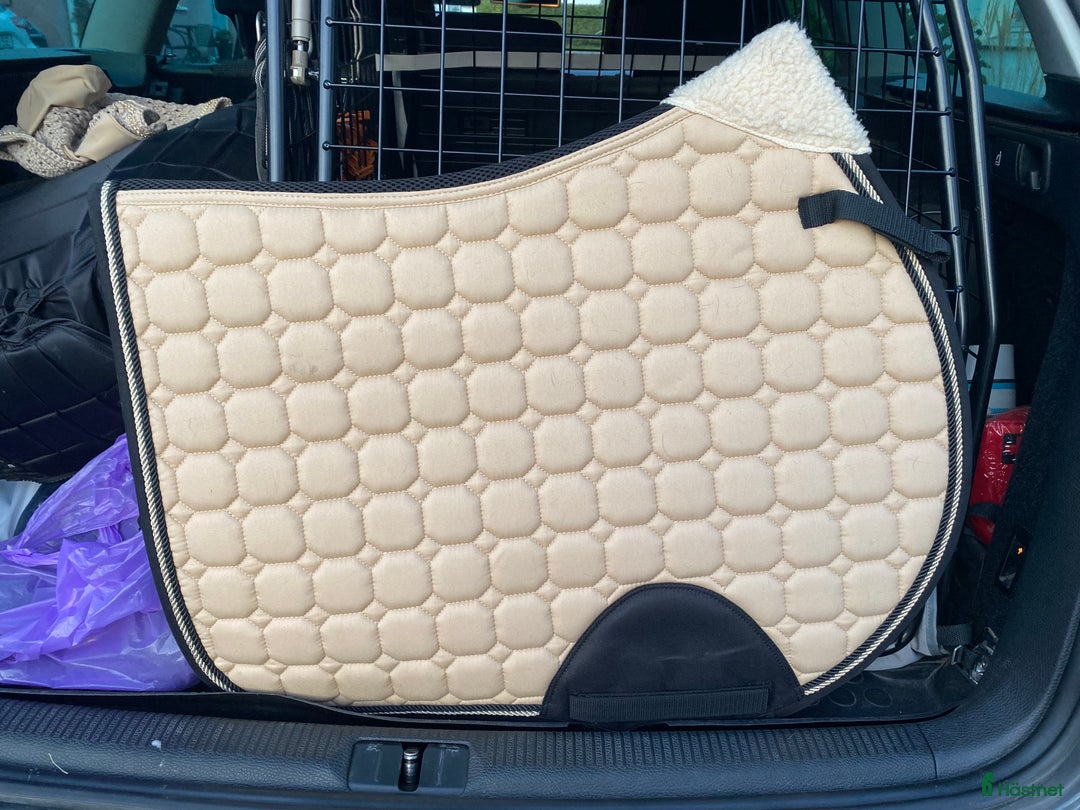 Schabrak & Vojlockar hästutrustning till salu: Fint schabrak i full i Vellinge - Annons 2