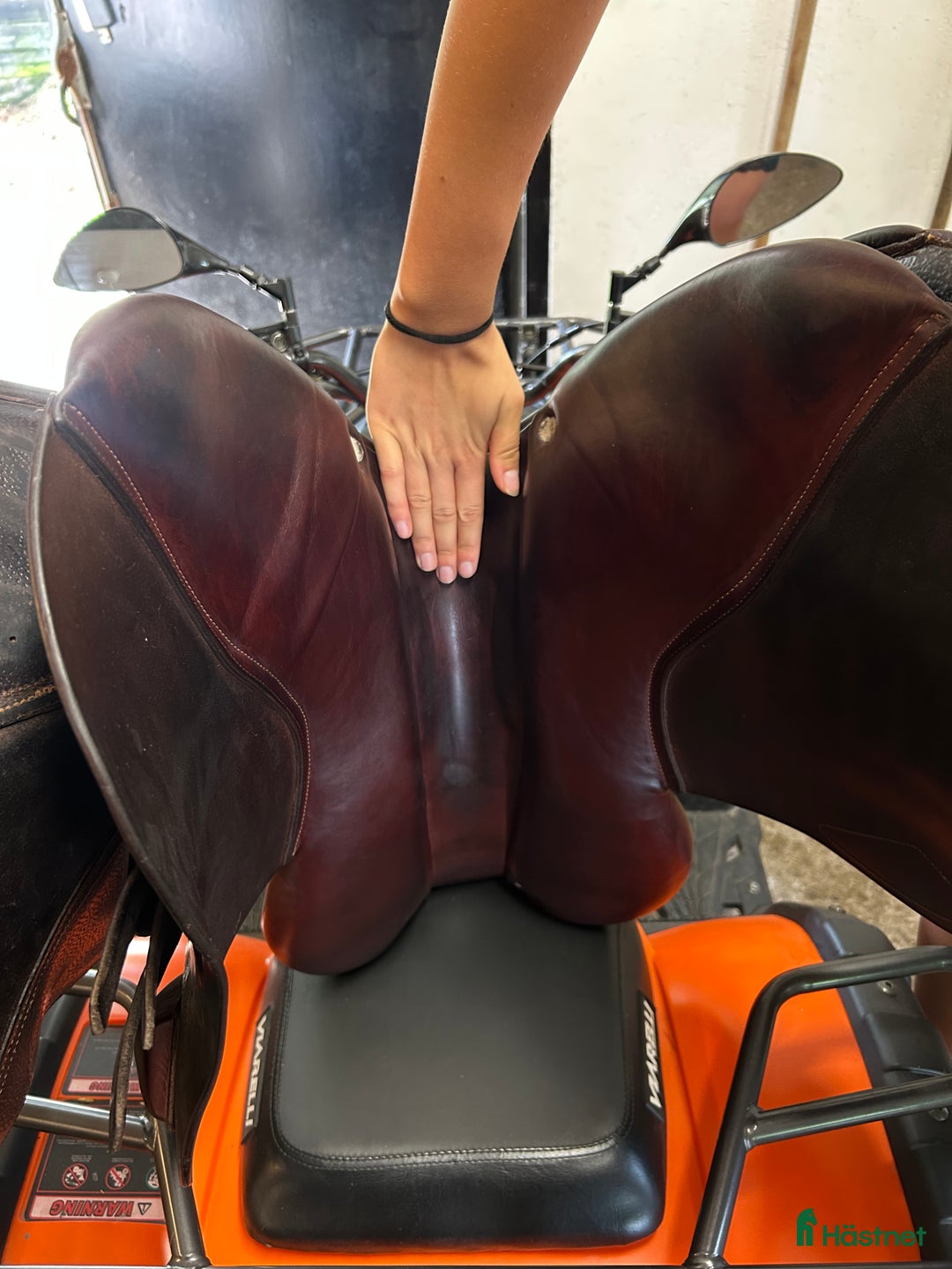 Sadlar hästutrustning till salu: Cwd 2GS i Olsfors - Annons 4