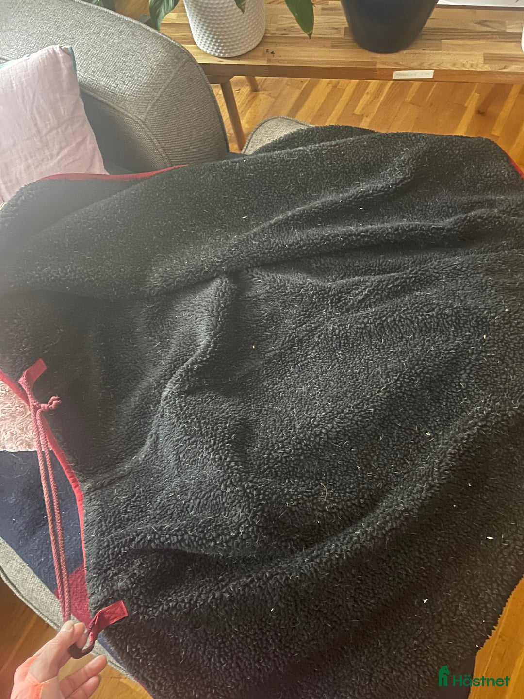 Täcken hästutrustning till salu: Tömkörningstäcke/Körtäcke i Växjö - Annons 5