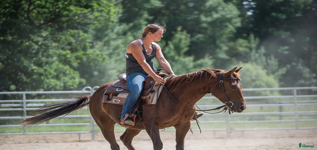 Galleribild {{count}}