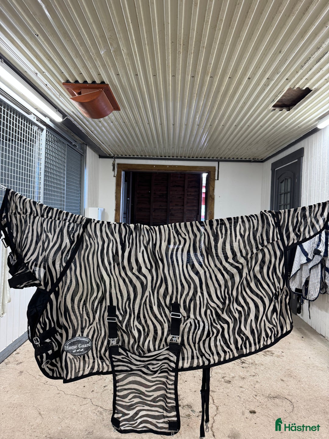 Övrig Hästutrustning hästutrustning till salu: Rensning av hästutrustning  - Annons 21