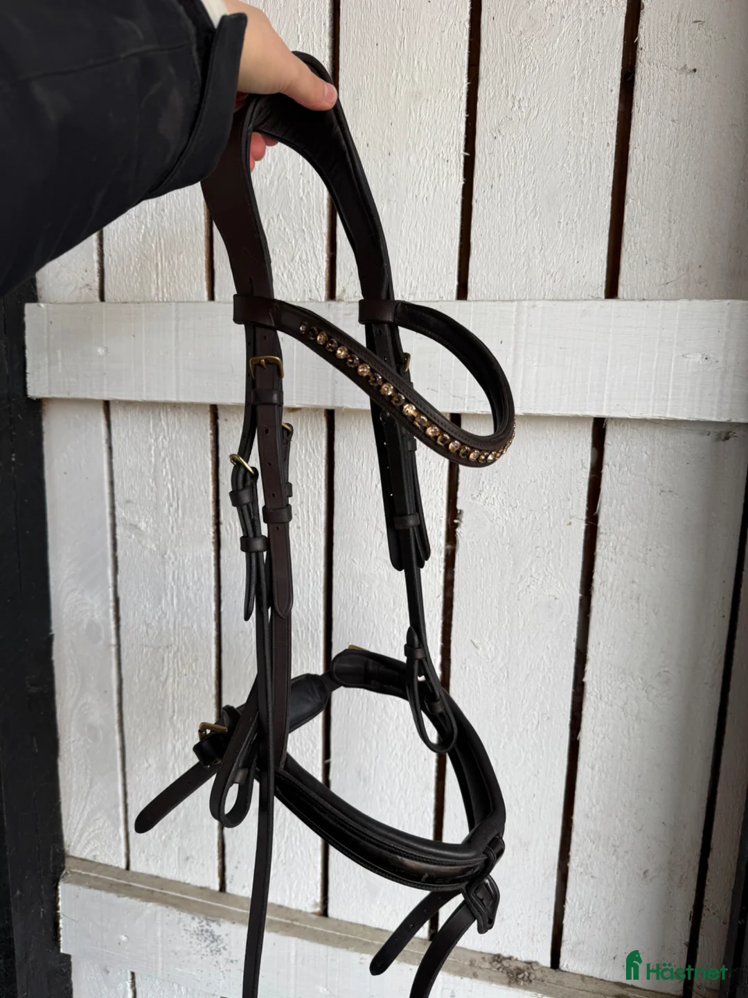 Träns hästutrustning till salu: Brunt Eponia träns  - Annons 1