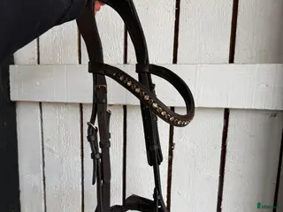 Träns hästutrustning Brunt Eponia träns - Annons 15