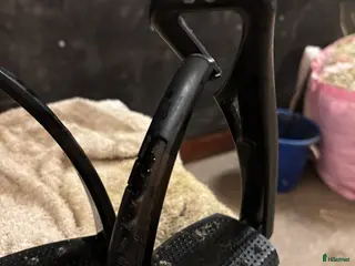 Stigbyglar hästutrustning Freejump pro i Visby - Annons 2