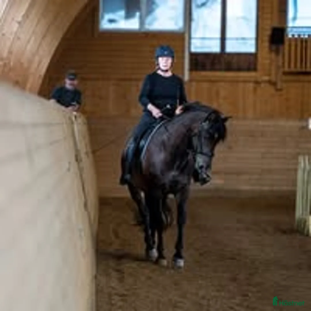 Galleribild {{count}}