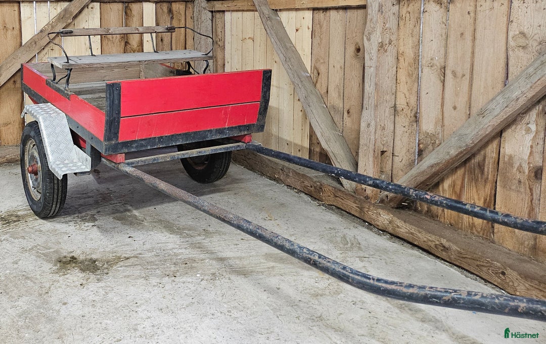 Körvagnar körning till salu: Hästvagn i Kungsäter - Annons 6