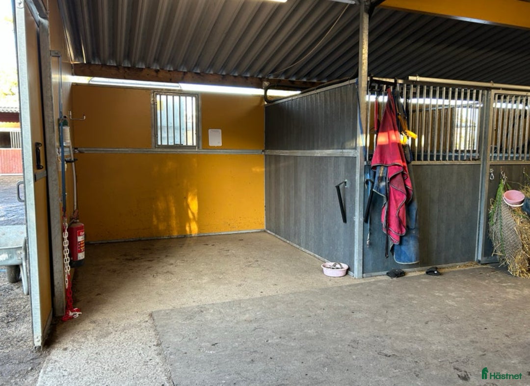  stallplats finnes: Uteboxar i Stav i Tungelsta - Annons 9