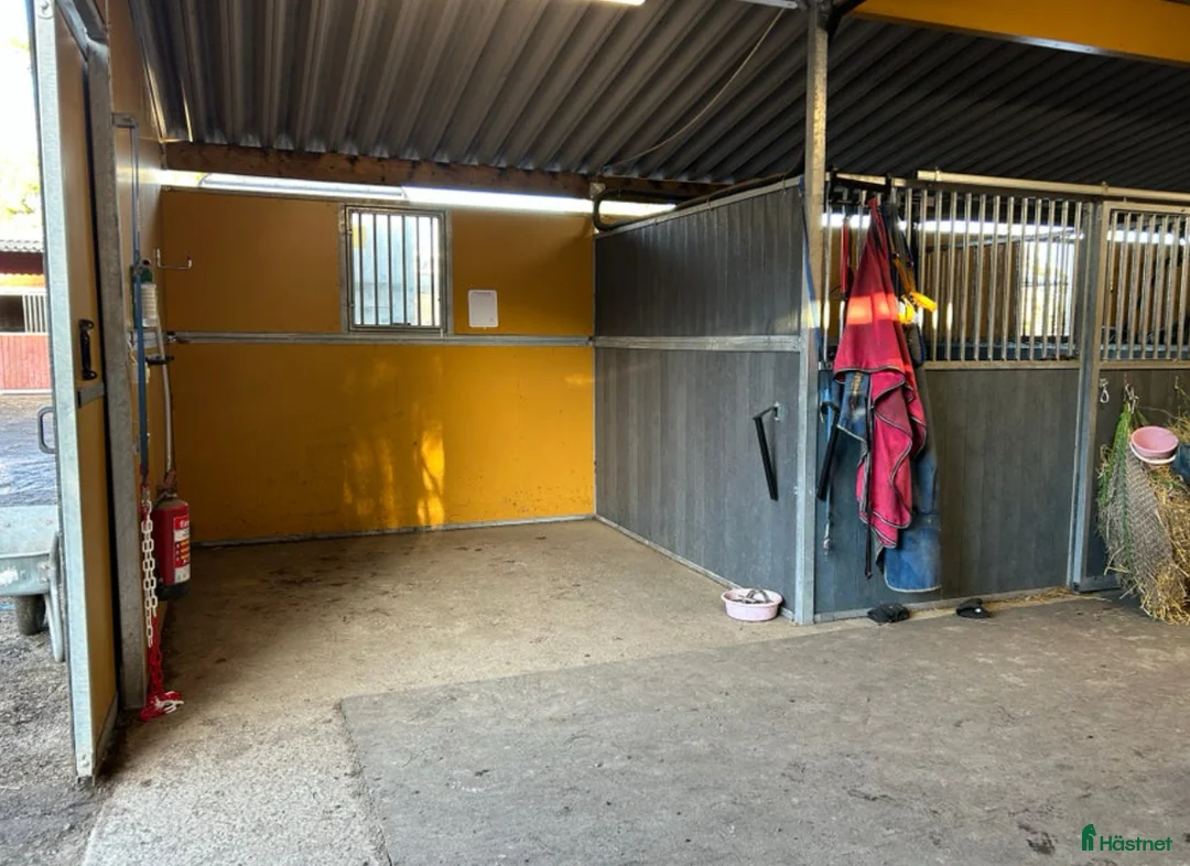  stallplats finnes: Uteboxar i Stav i Tungelsta - Annons 9