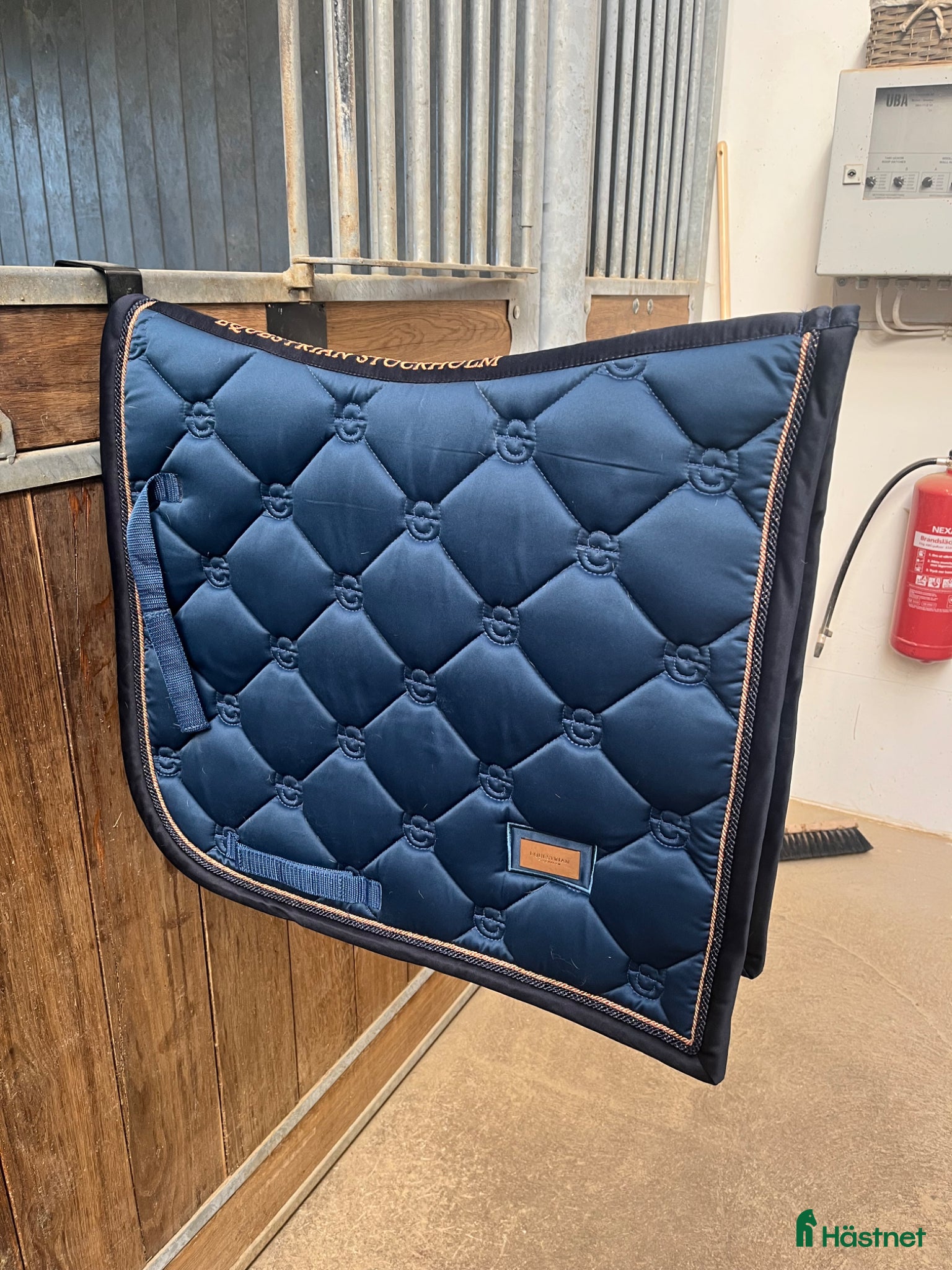 Schabrak & Vojlockar hästutrustning Dressyrschabrak  - Annons 14