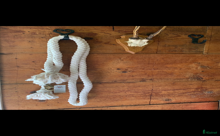 Övrig Hästutrustning hästutrustning till salu i Hallaryd - Annons 15