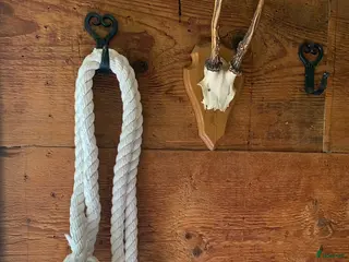 Övrig Hästutrustning hästutrustning till salu: Led Rope 3 m. Nytt / Onvänt. i Hallaryd - Annons 3