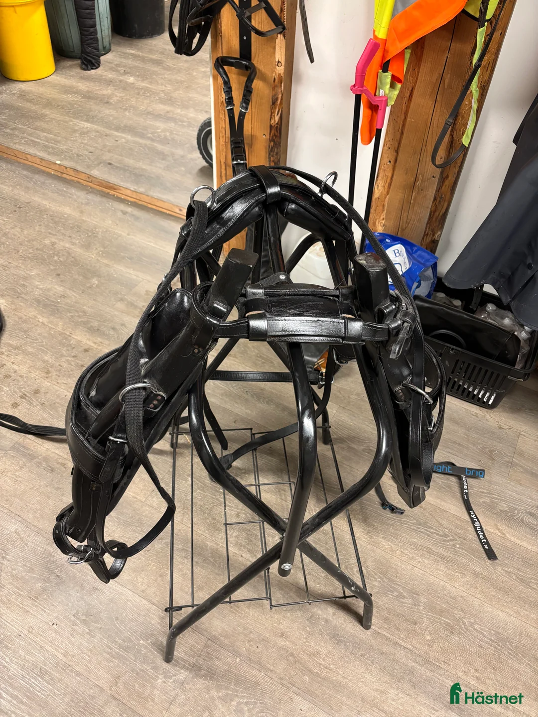 Körselar körning till salu: Loksele ponny i Njutånger - Annons 2