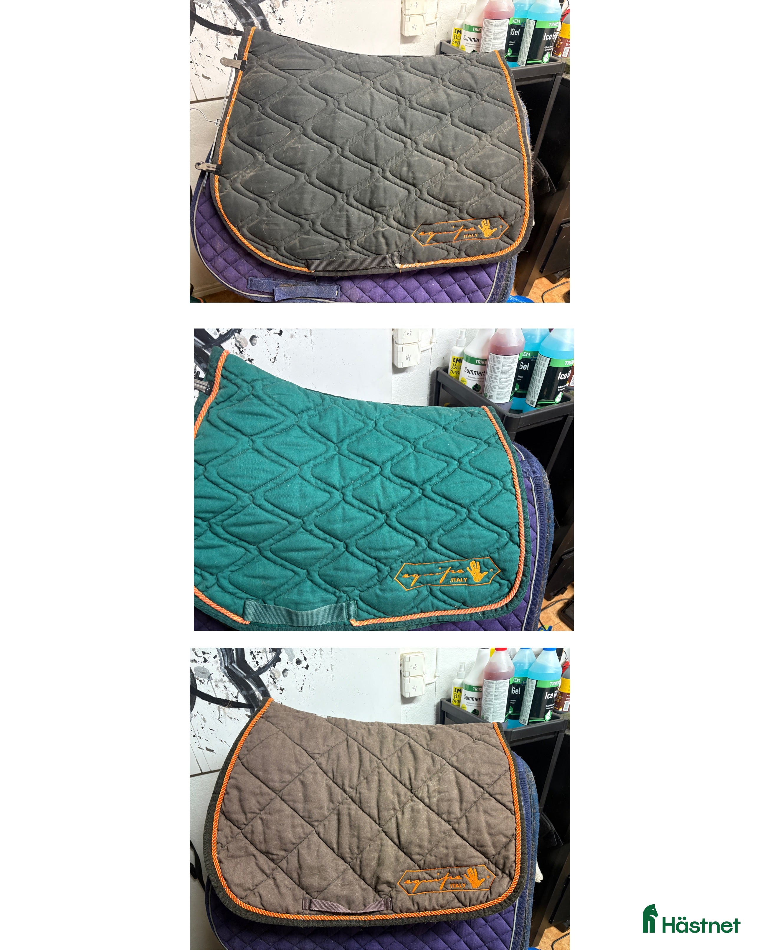 Schabrak & Vojlockar hästutrustning till salu: Equipe schabrak  i Oskarshamn - Annons 15