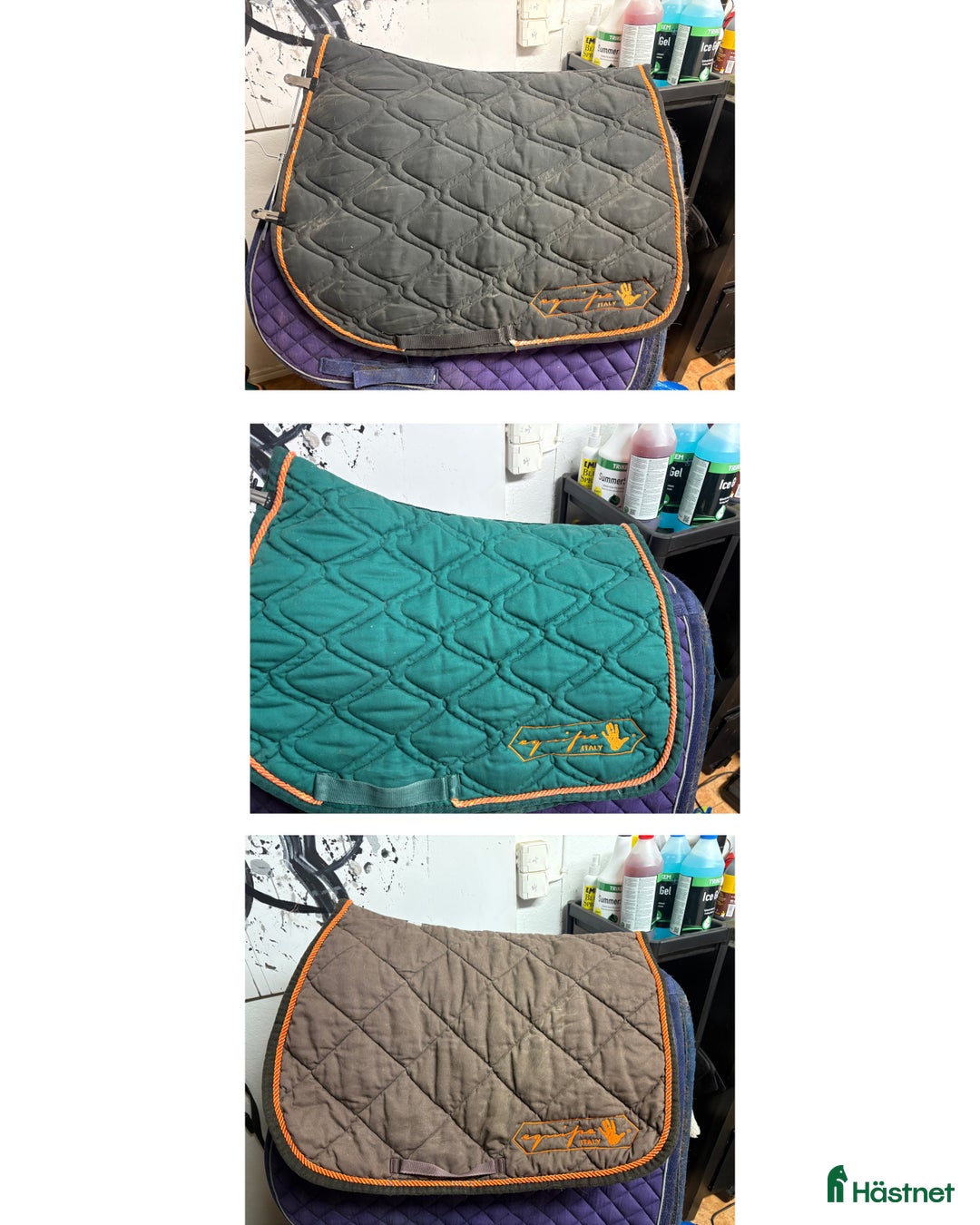 Schabrak & Vojlockar hästutrustning till salu: Equipe schabrak  i Oskarshamn - Annons 1