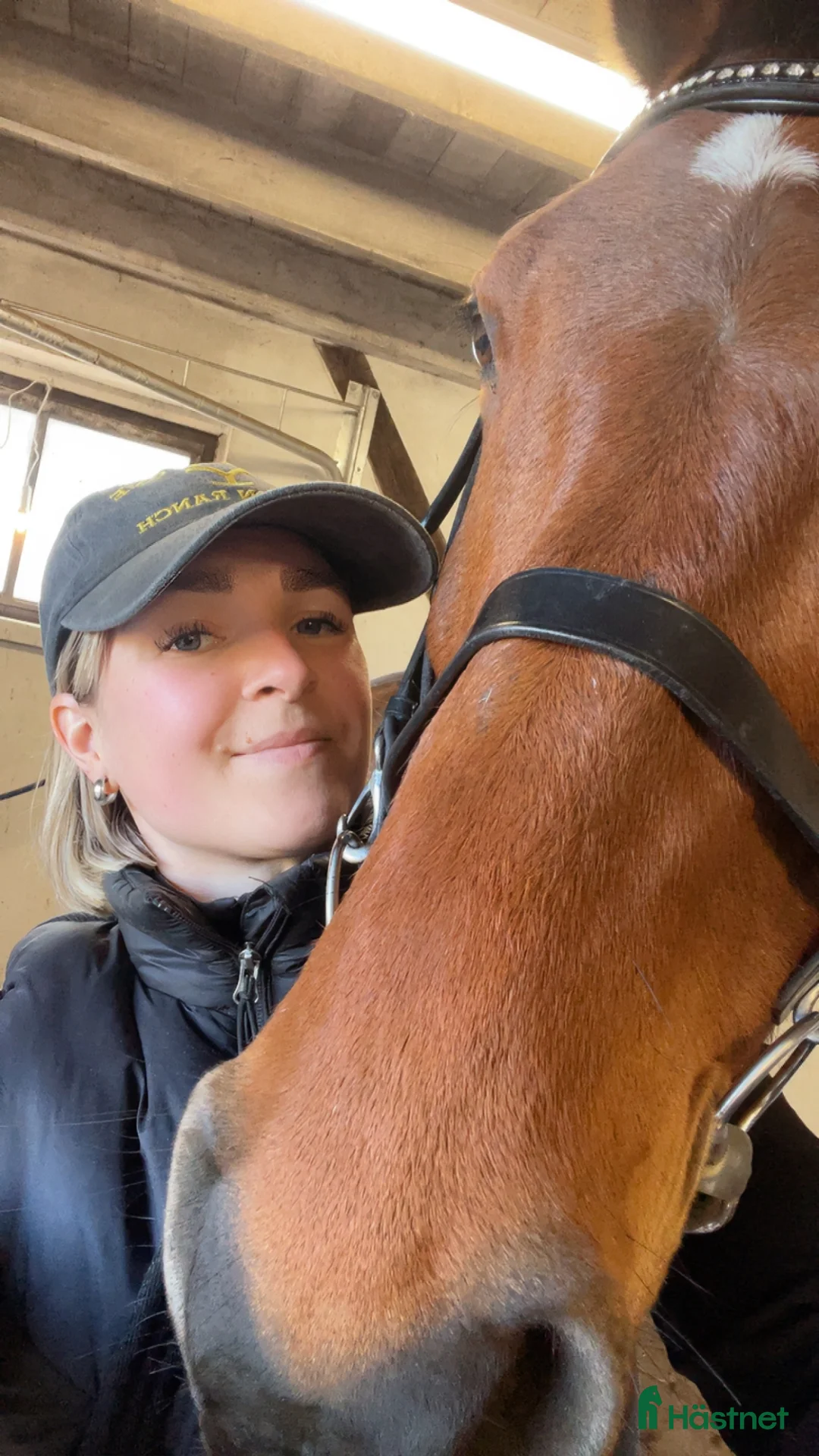  foderhäst sökes: FODERHÄST SÖKES- långsiktigt hem&mycket kärlek🐴 - Annons 2