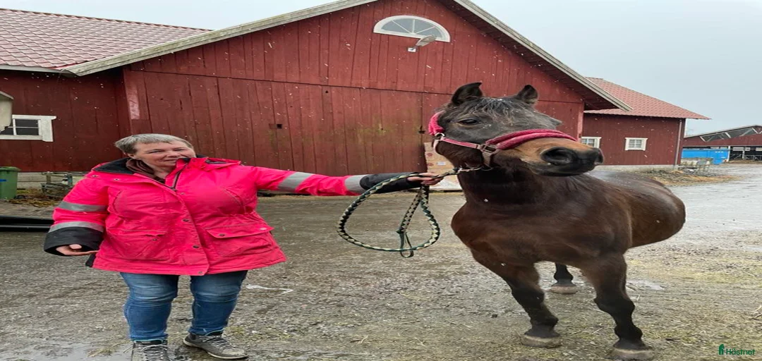 Galleribild {{count}}