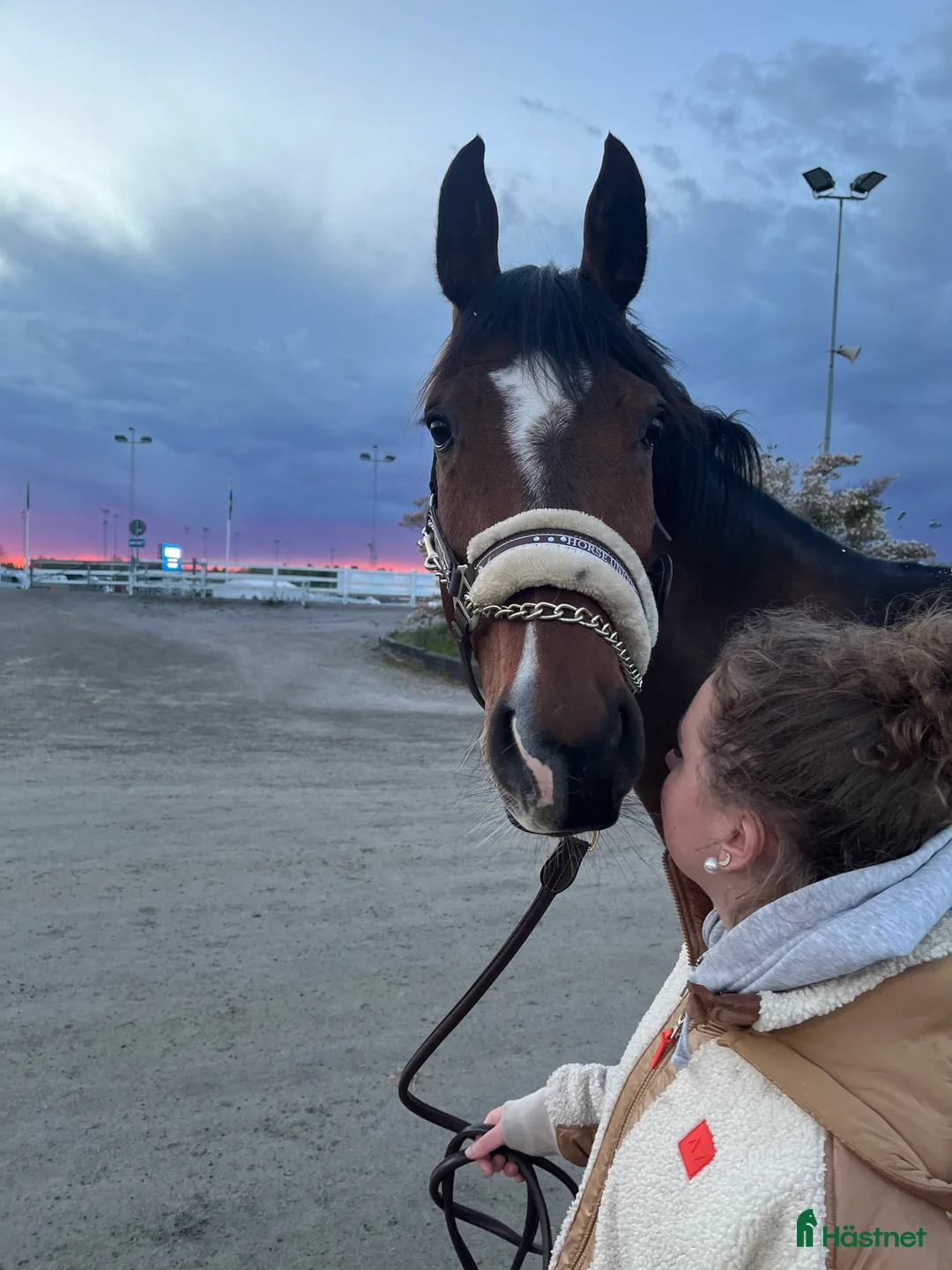 Allround hästar till salu: Underbar hopphäst! i Linköping - Annons 3