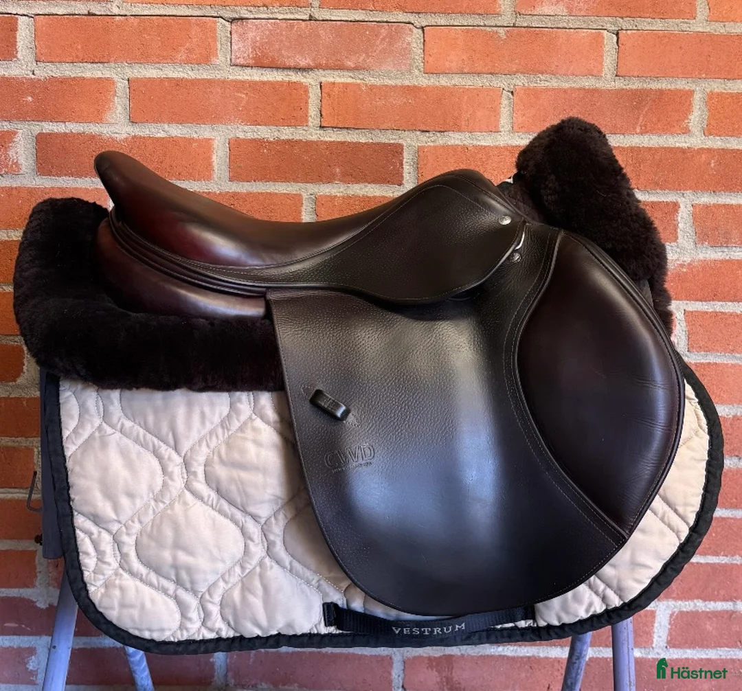 Sadlar hästutrustning till salu: CWD SE02 - Annons 2