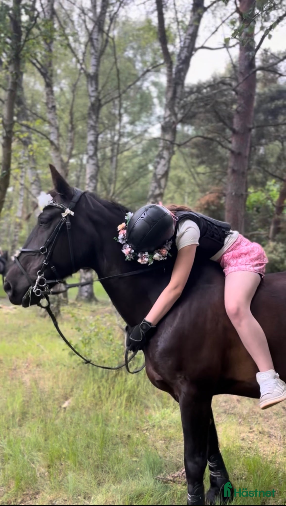  hästar Ponny med ett hjärta av guld - Annons 2