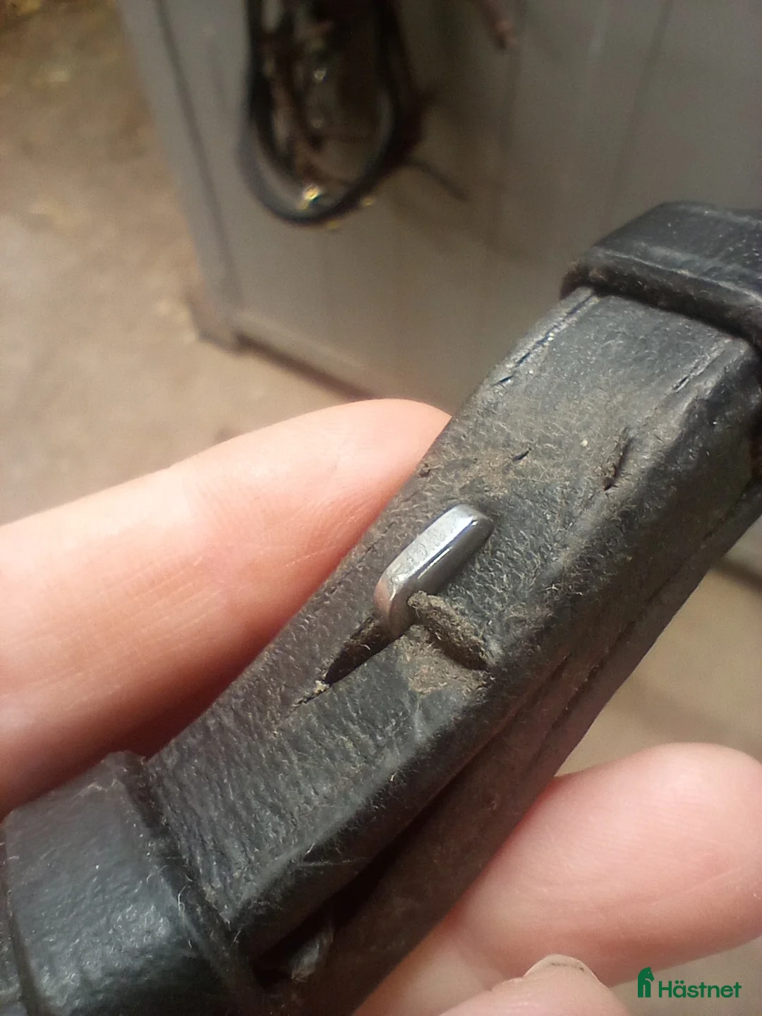 Övrig Hästutrustning hästutrustning till salu: Tyglar pony Dyon - Annons 5