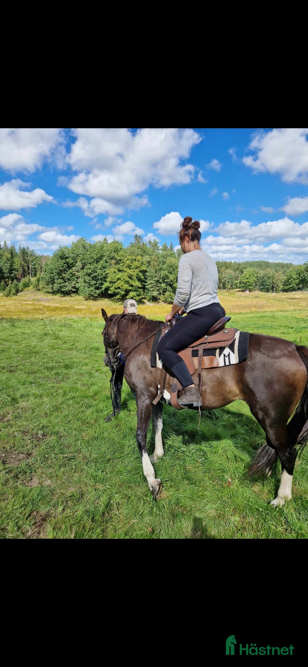  foderhäst finnes: Söker fodervärd till mina prinsessor - Annons 4