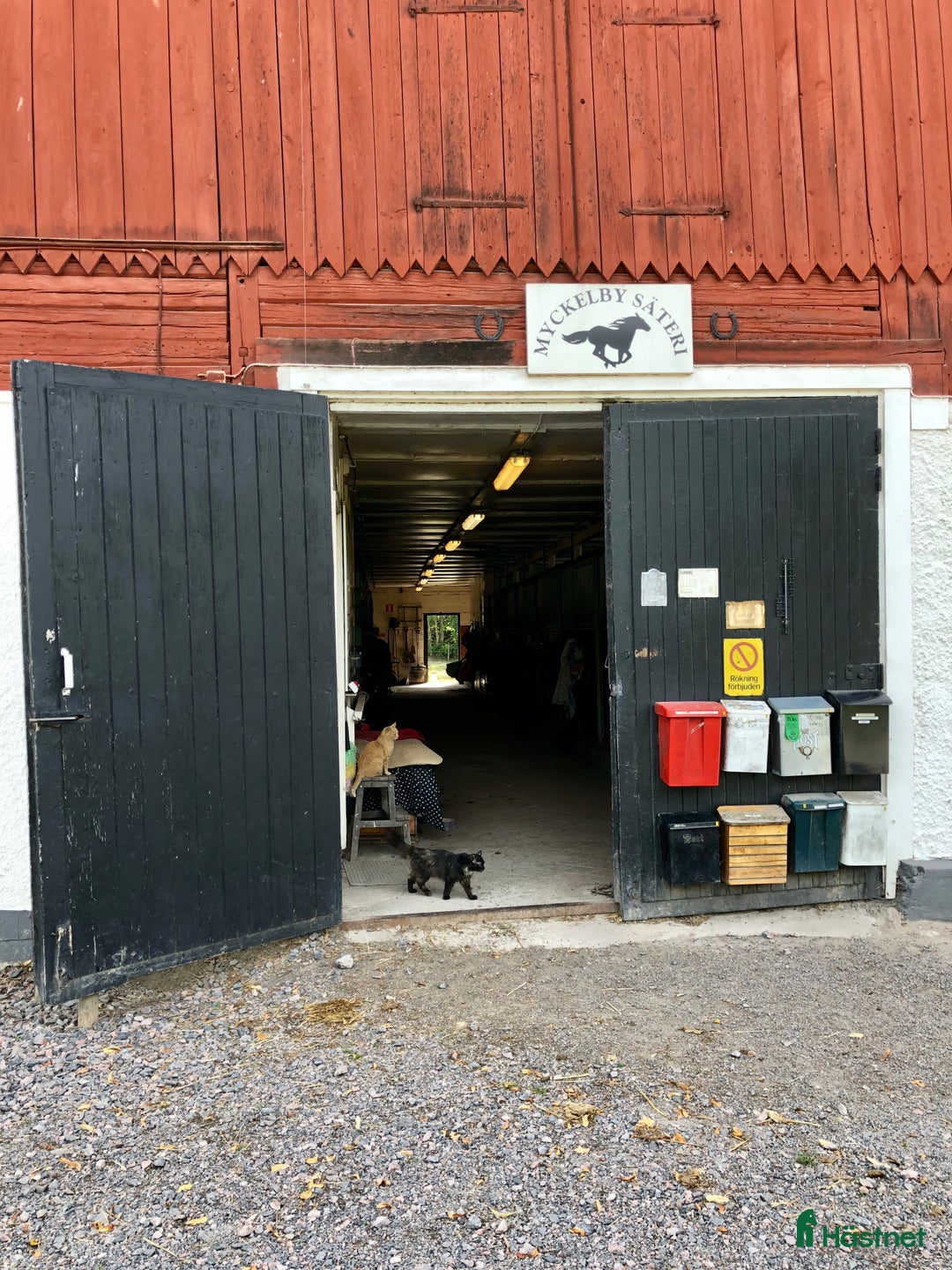  stallplats finnes: Boxplatser finnes Söderköping/norrköping  i Norrköping - Annons 4