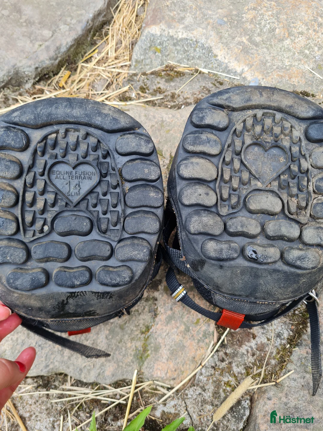 Övrig Hästutrustning hästutrustning till salu: All terrain ultra, strl 14 slim - Annons 2