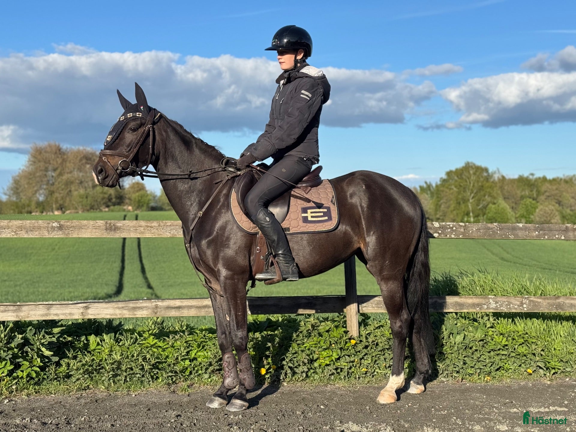  hästar D-ponny e.Emmerton SWB - Annons 2