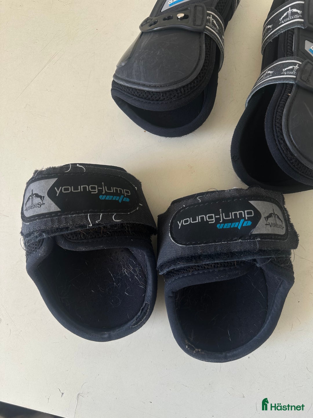 Benskydd hästutrustning till salu: Carbon Gel Vento Senskydd i Vellinge - Annons 3