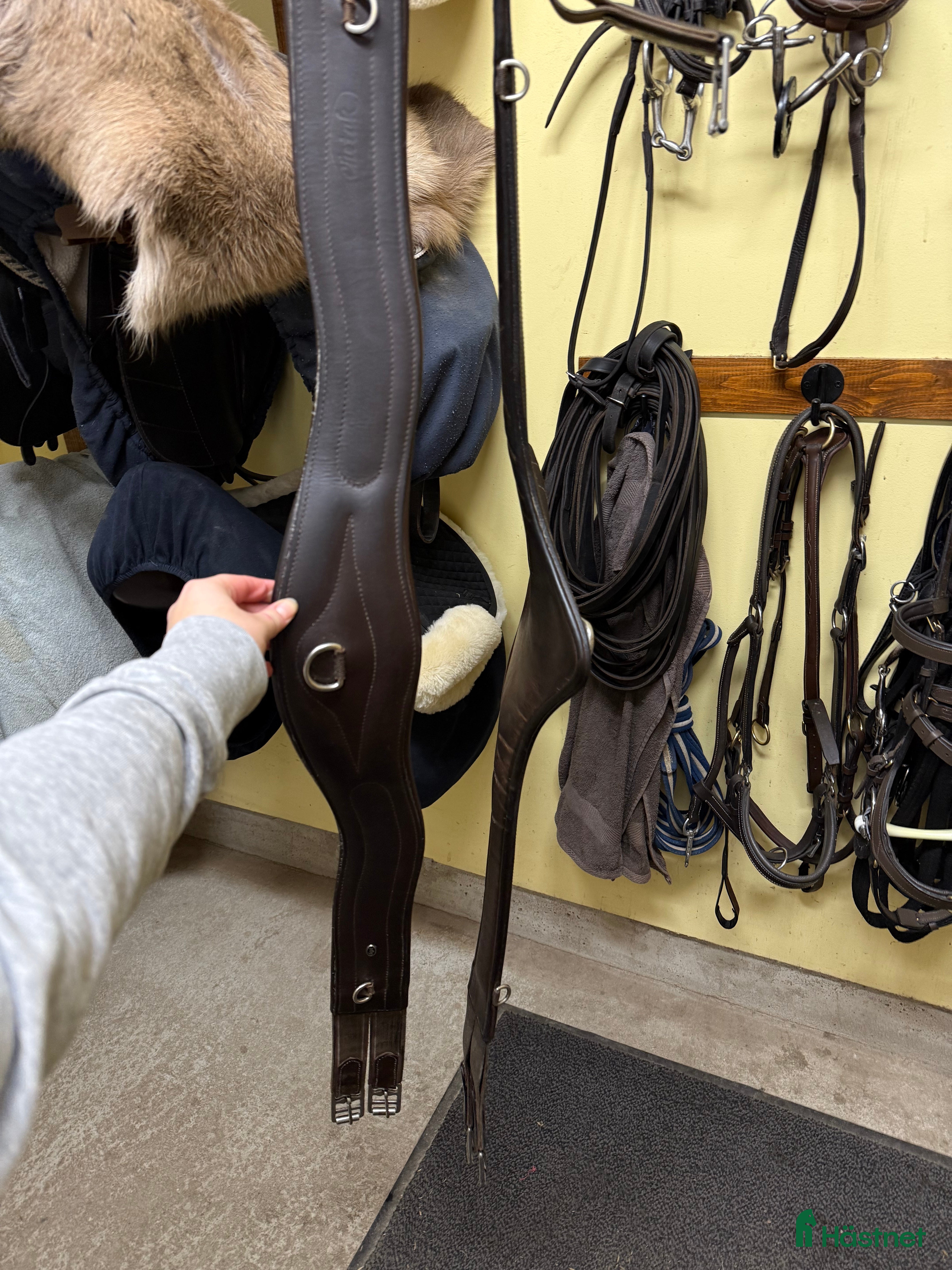 Sadeltillbehör hästutrustning till salu: Sadelgjord i Bålsta - Annons 2