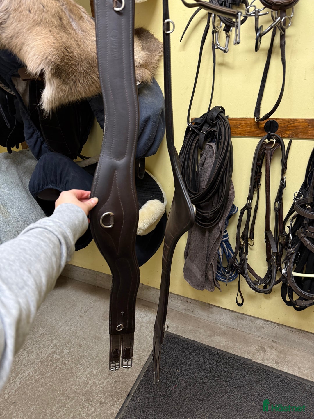 Sadeltillbehör hästutrustning till salu: Sadelgjord i Bålsta - Annons 1