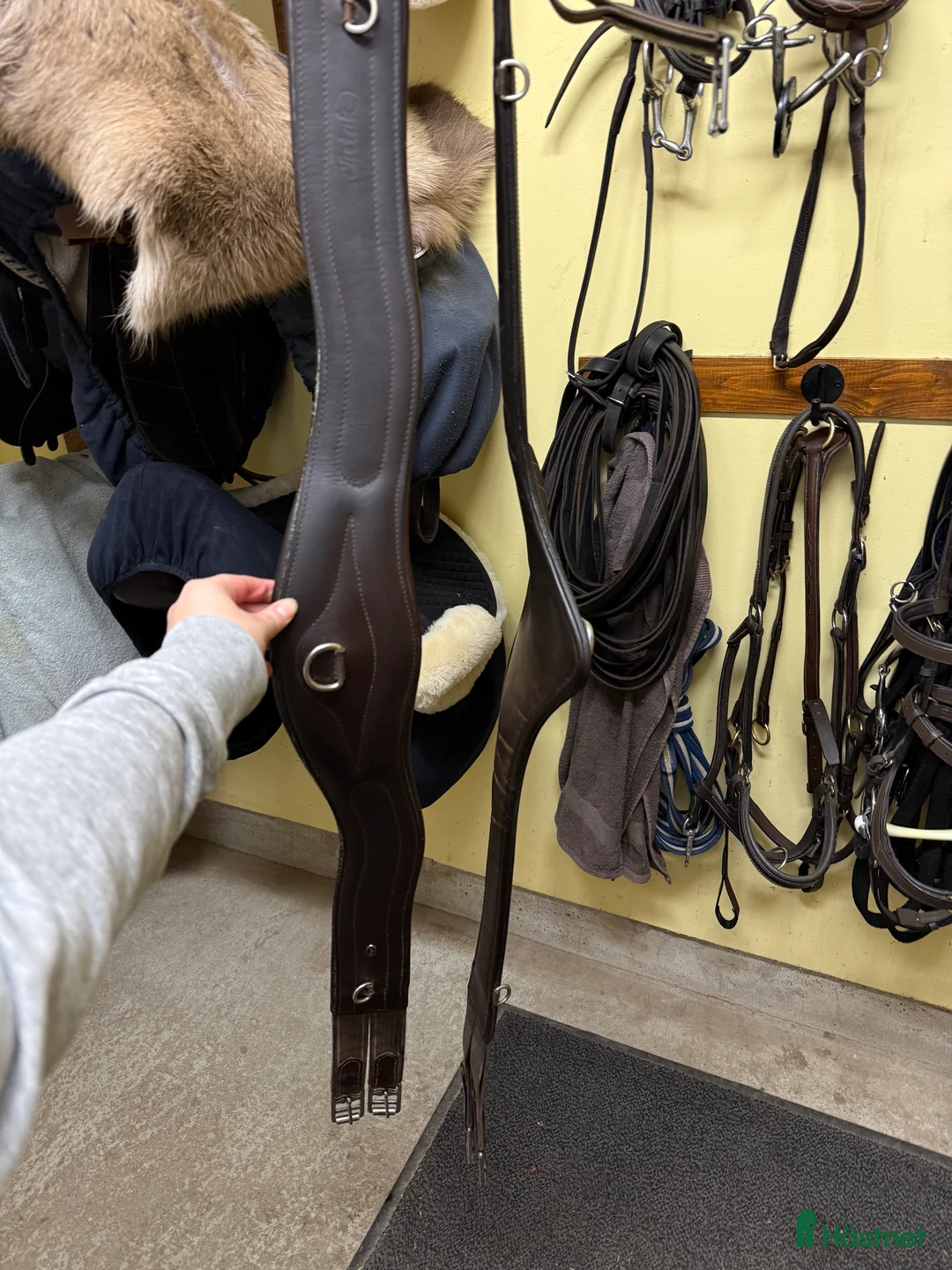 Sadeltillbehör hästutrustning till salu: Sadelgjord - Annons 1