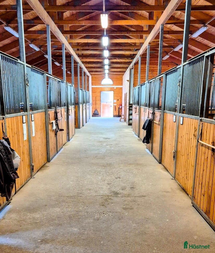  stallplats finnes: Lösdrift i Tullinge - Annons 10