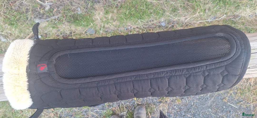 Schabrak & Vojlockar hästutrustning till salu: Catago Equestrian schabrak  - Annons 2