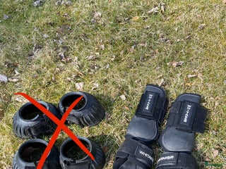 Övrig utrustning övrig utrustning till salu: Benskydd, pannband, bett i Linneryd - Annons 2