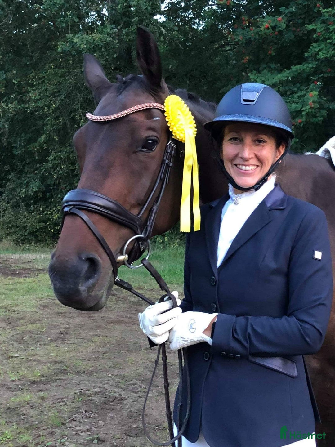 Allround hästar till salu: Underbart sto för den som söker en bästa vän i Ulricehamn - Annons 4