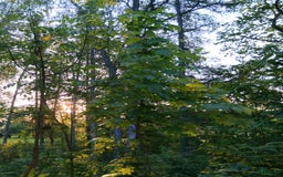  hästgårdar till salu: ☀️ BOSTAD SÖKES AKUT! ☀️ i Enköping - Bild 1