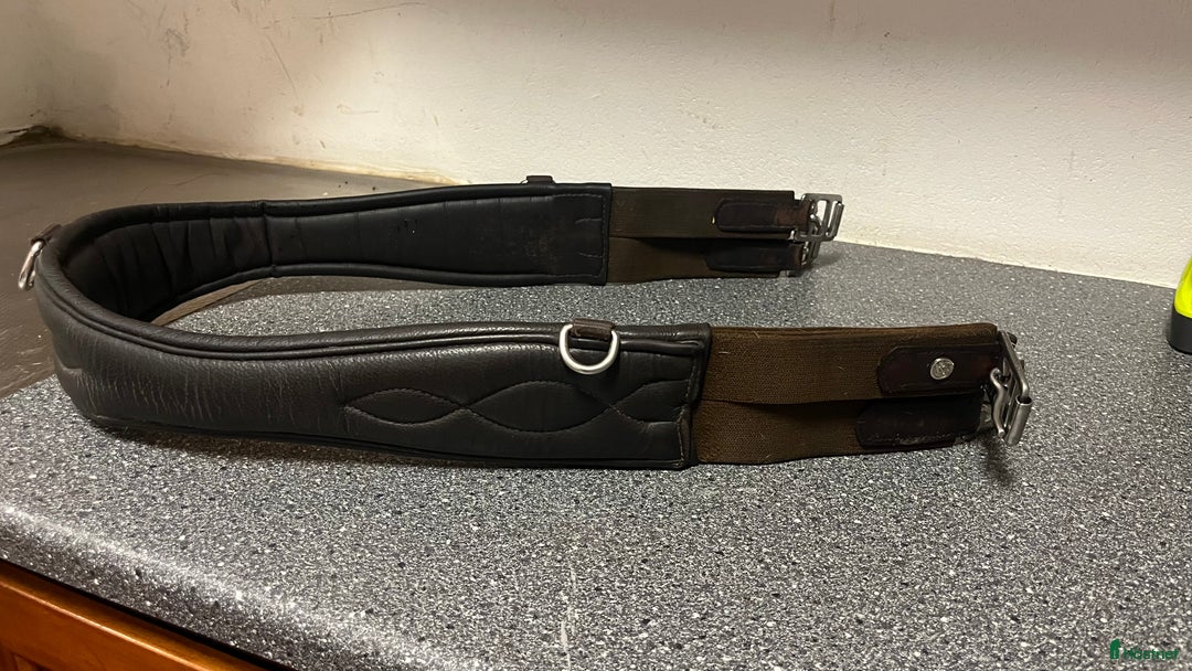 Sadeltillbehör hästutrustning till salu: Anatomisk lädergjord från HS 120 cm i Örby - Annons 1