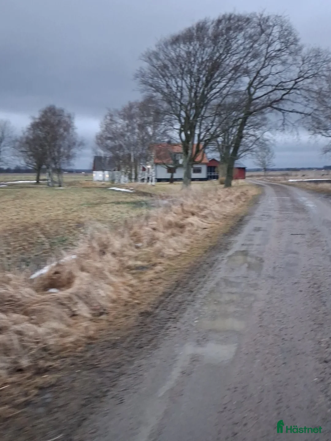  stallplats finnes: Intresserad av stallplats? i Laholm - Annons 1