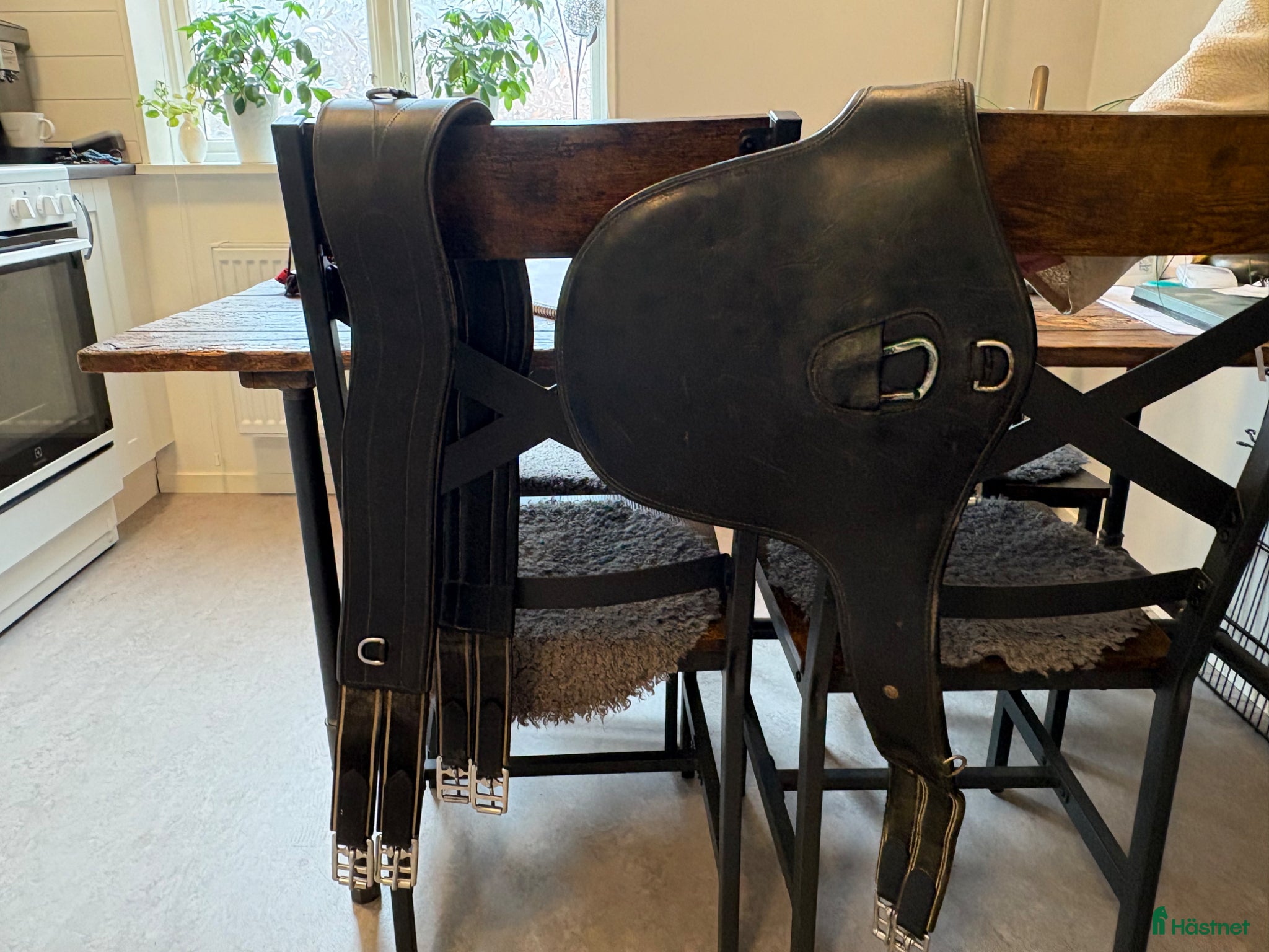 Sadeltillbehör hästutrustning till salu: Lädergjord och magplatta - Annons 1