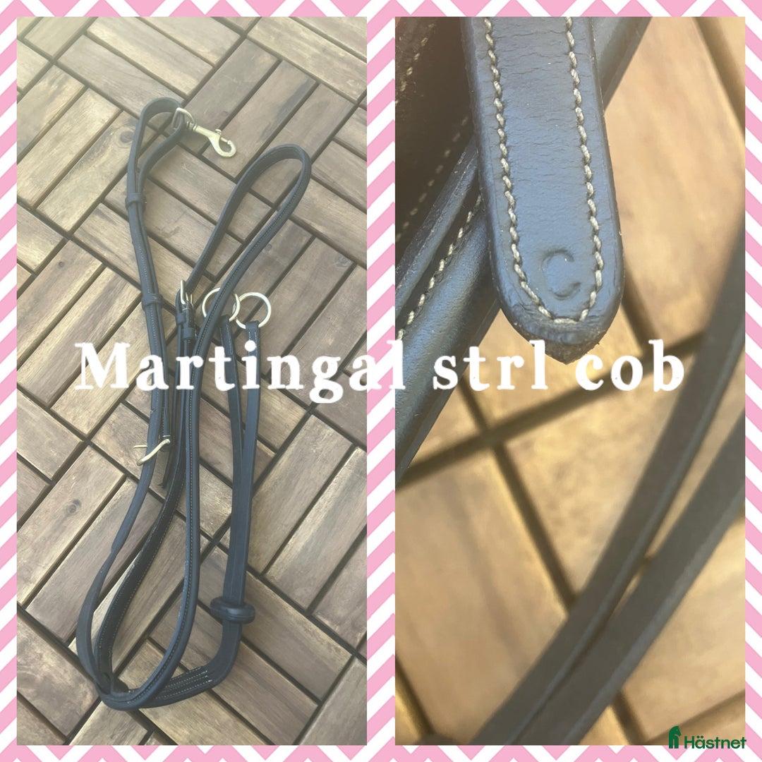 Övrig Hästutrustning hästutrustning till salu: Martingal säljes! i Alingsås - Annons 1