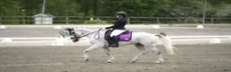 Allround hästar till salu: ✨️ Maxad D-ponny✨️ i Lödöse - Annons 4