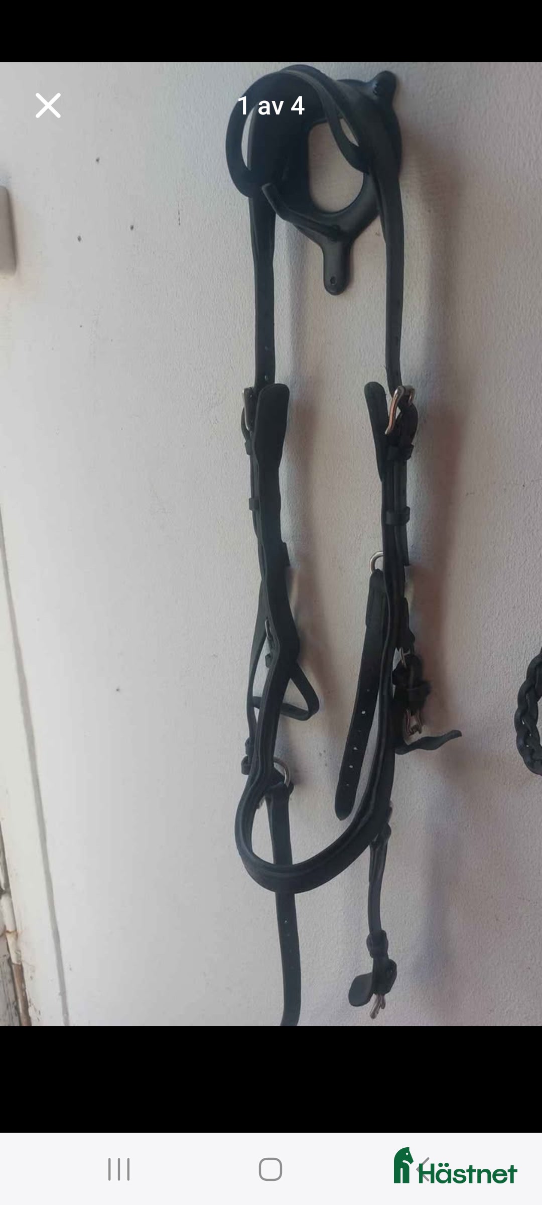 Träns hästutrustning till salu: Träns cob i Gävle - Annons 20