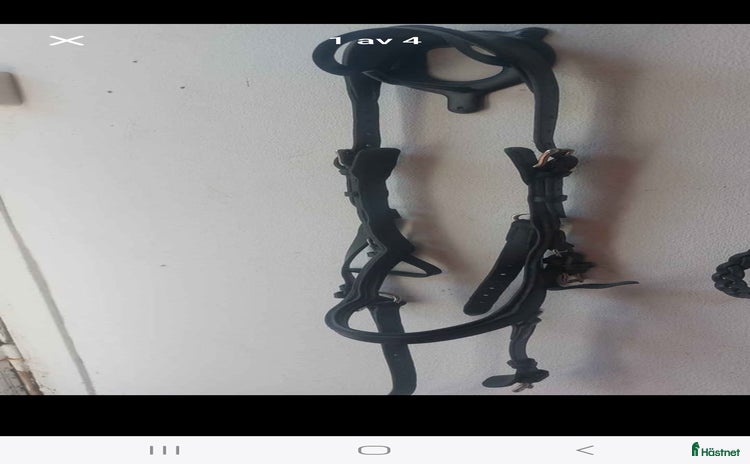 Träns hästutrustning till salu i Gävle - Annons 19