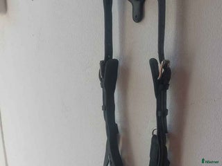 Träns hästutrustning till salu: Träns cob i Gävle - Annons 6